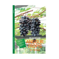Image of Buahkan anggur tropis di teras
