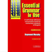 Image of Essential grammer in use